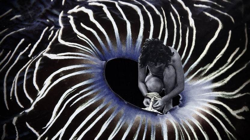 Imatge de l'exposició ‘Nostàlgia de futur: travessant el col·lapse’