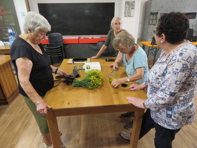 Image of the Pallars Sobirà Itinerant Omnia Point