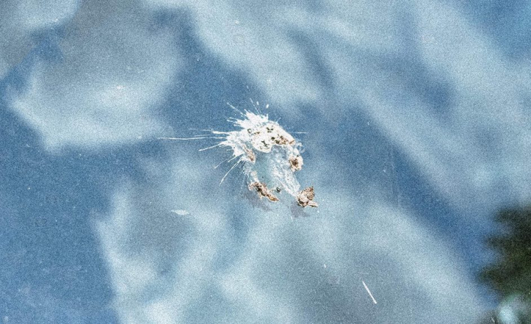 Imatge del Crucrucru