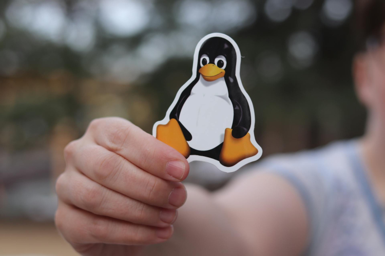 Imatge de Linux