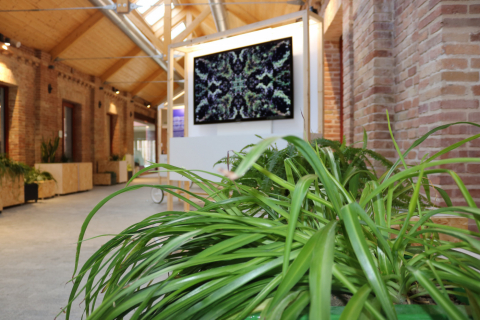 Exposició "Humanitzant la tecnologia per Barcelona"