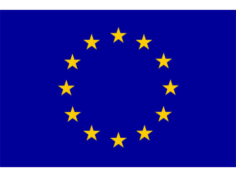 Safer Internet (protecció dels nens en l'ús d'Internet)