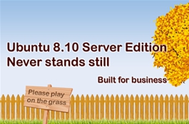 Ubuntu 8.10 Intrepid Ibex, en català