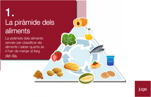 La piràmide dels aliments