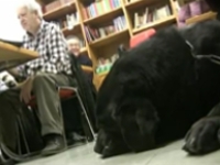 Imatge de la prova pilot amb persones invidents a Lleida