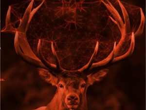 Concurs adreçat a espais de coworking