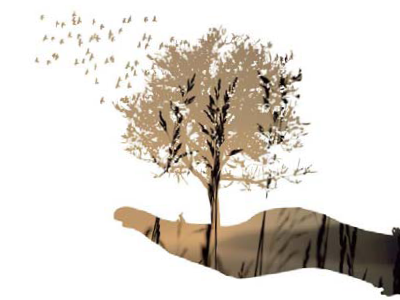 Tenir cura del mediambient