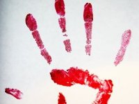 morguefile.com/archive/display/134475