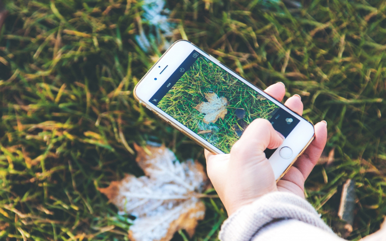 Training ICT Capsules at the Palau ICT Point